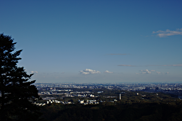 Tokyo from Mt. Takao